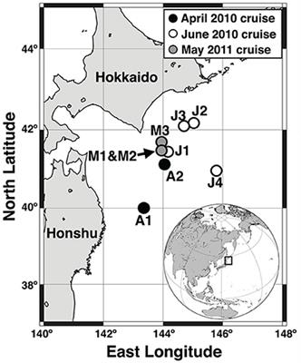 Dynamics and Origin of Transparent Exopolymer Particles in the Oyashio Region of the Western Subarctic Pacific during the Spring Diatom Bloom